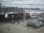 CN 8001